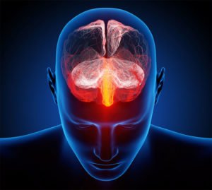 brain processes pain
