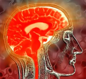 opioid effects on the brain