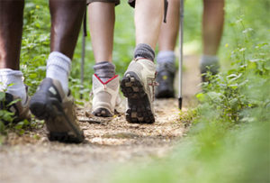 physical activity on the brain