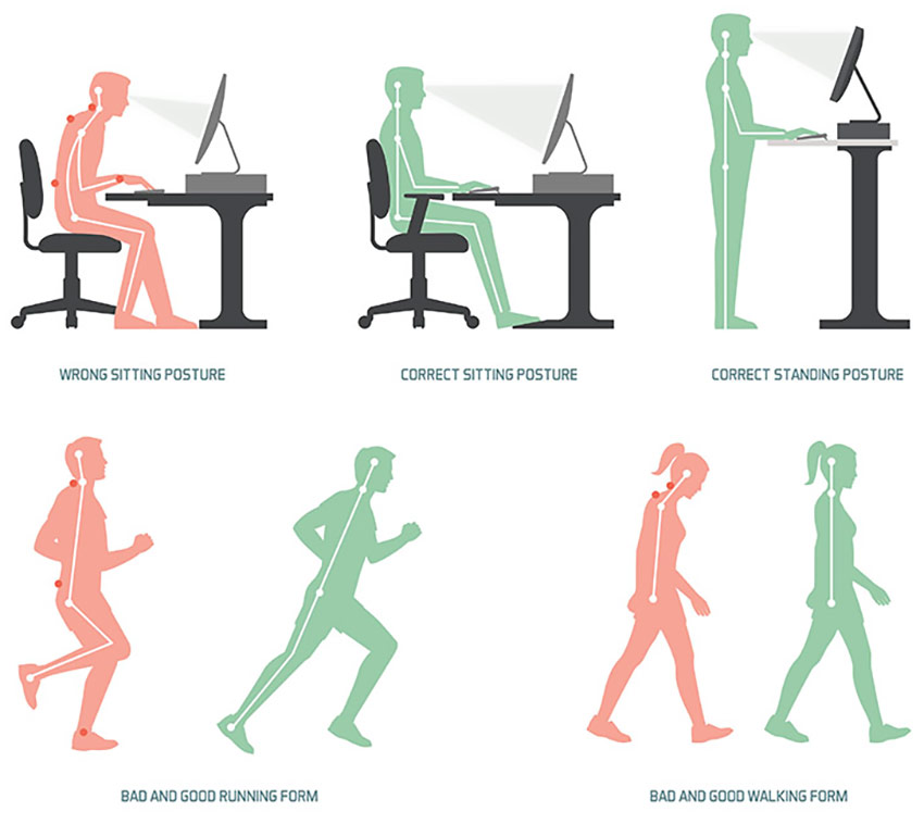 Posture And Your Health (Proper Structure, Proper Function