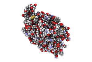 biochemistry of pain