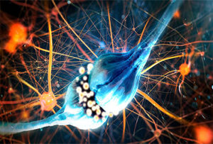 neurotransmitters