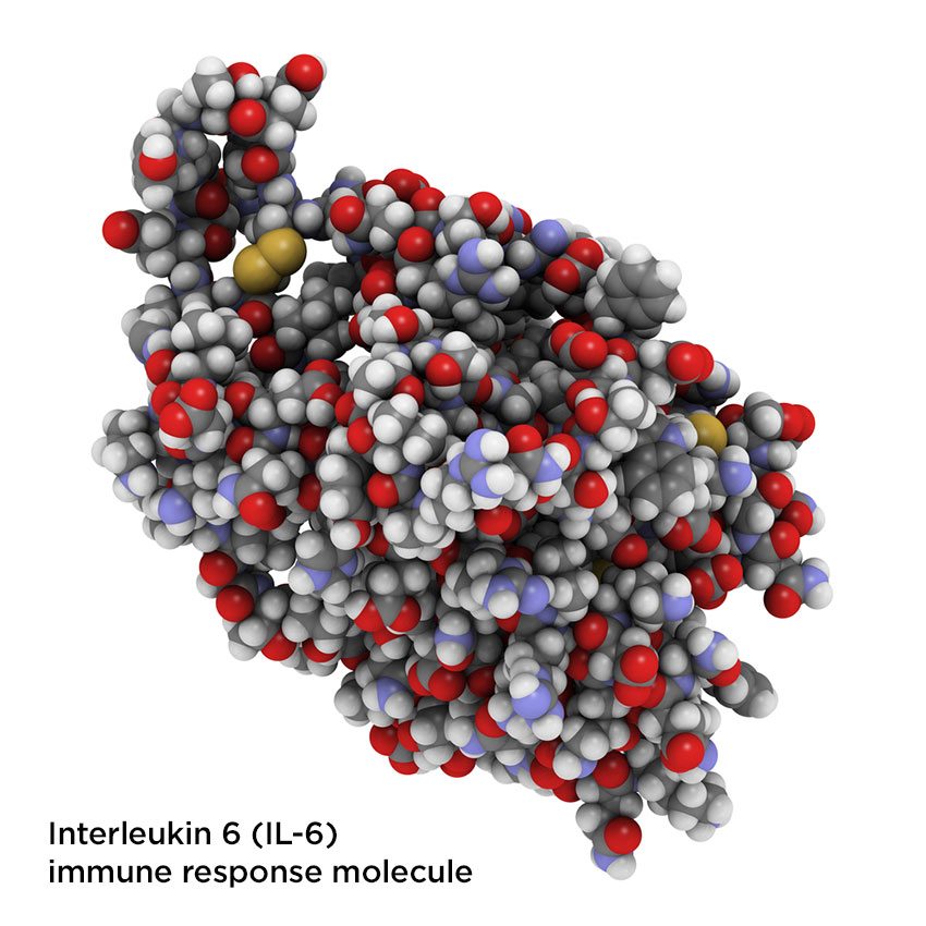 biochemistry of pain