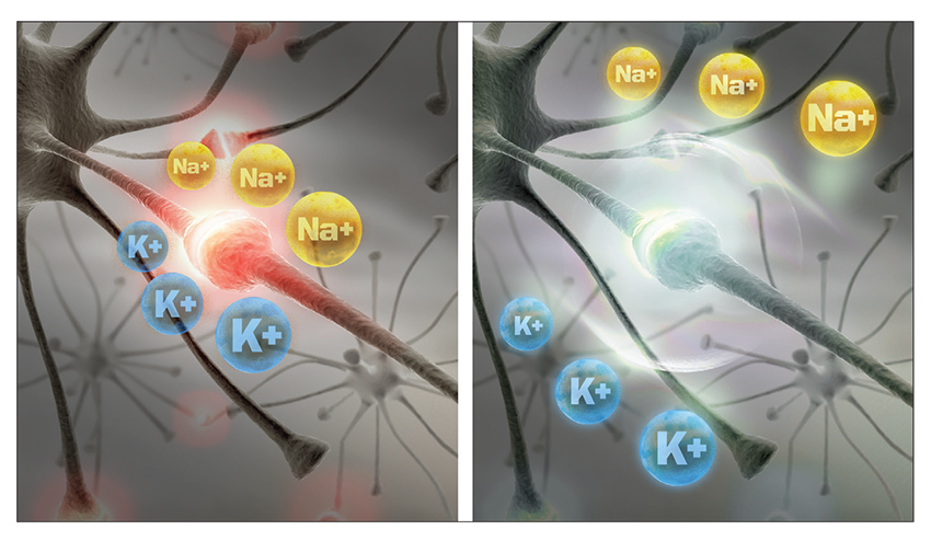 Sodium Channel Inhibition